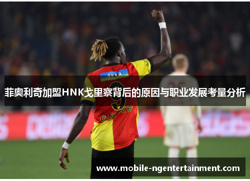 菲奥利奇加盟HNK戈里察背后的原因与职业发展考量分析