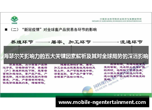 海瑟尔关影响力的五大关键因素解析及其对全球局势的深远影响 海瑟尔关影响力的五大关键因素解析及其对全球局势的深远影响