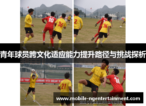 青年球员跨文化适应能力提升路径与挑战探析