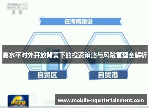 高水平对外开放背景下的投资策略与风险管理全解析 高水平对外开放背景下的投资策略与风险管理全解析