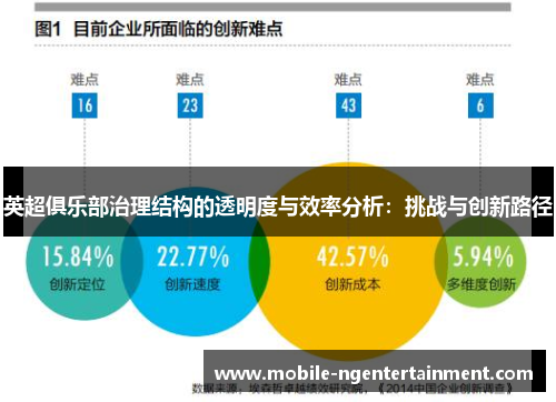 英超俱乐部治理结构的透明度与效率分析:挑战与创新路径 英超俱乐部治理结构的透明度与效率分析:挑战与创新路径