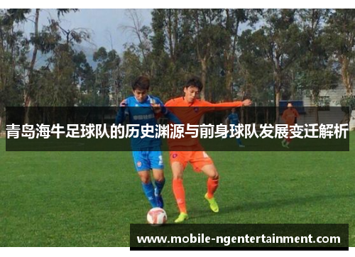 青岛海牛足球队的历史渊源与前身球队发展变迁解析