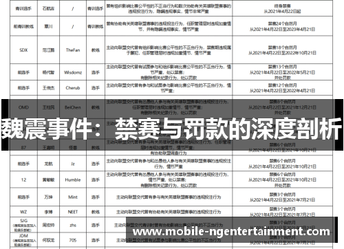 魏震事件：禁赛与罚款的深度剖析