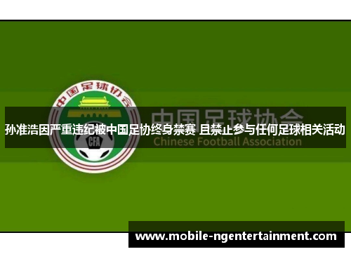孙准浩因严重违纪被中国足协终身禁赛 且禁止参与任何足球相关活动 孙准浩因严重违纪被中国足协终身禁赛 且禁止参与任何足球相关活动